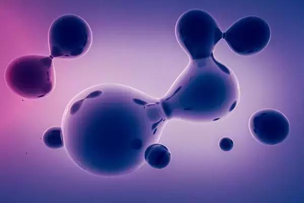 干细胞和免疫细胞同时回输,免疫细胞和干细胞相关知识