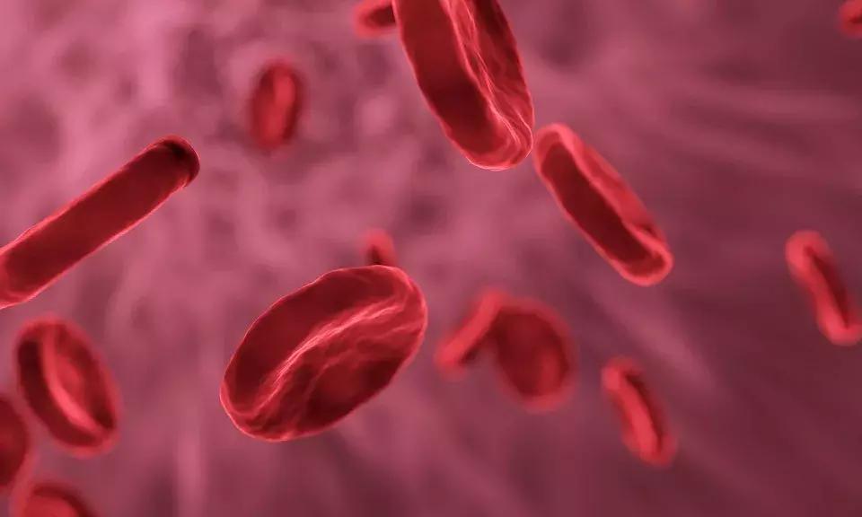 肚子疼都是哪里的问题图,肚子疼到底是哪里痛