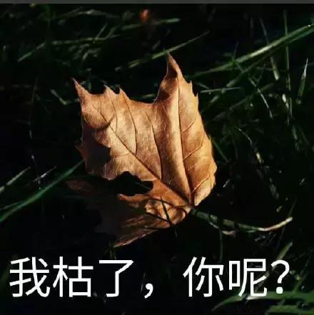 千万别看4D电影!你们会后悔的!哈哈哈哈哈哈哈哈哈哈哈哈