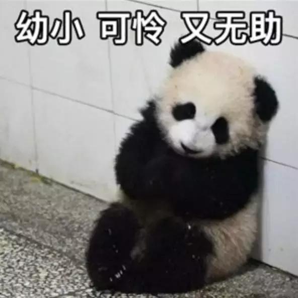 千万别看4D电影!你们会后悔的!哈哈哈哈哈哈哈哈哈哈哈哈