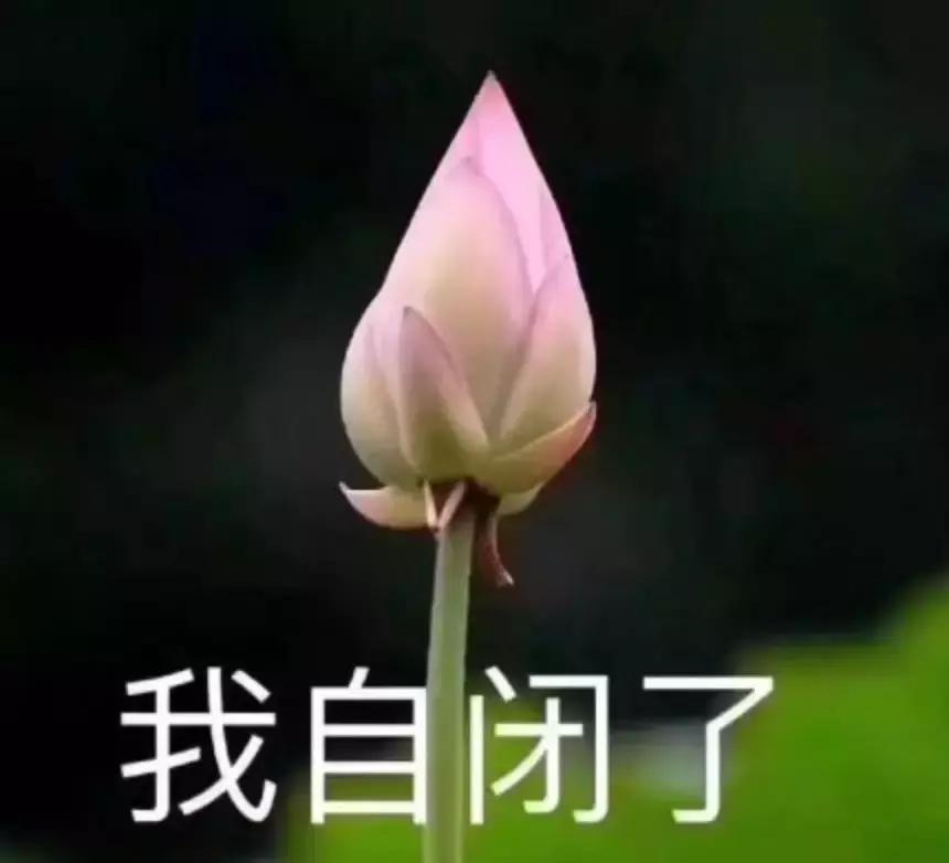 千万别看4D电影!你们会后悔的!哈哈哈哈哈哈哈哈哈哈哈哈