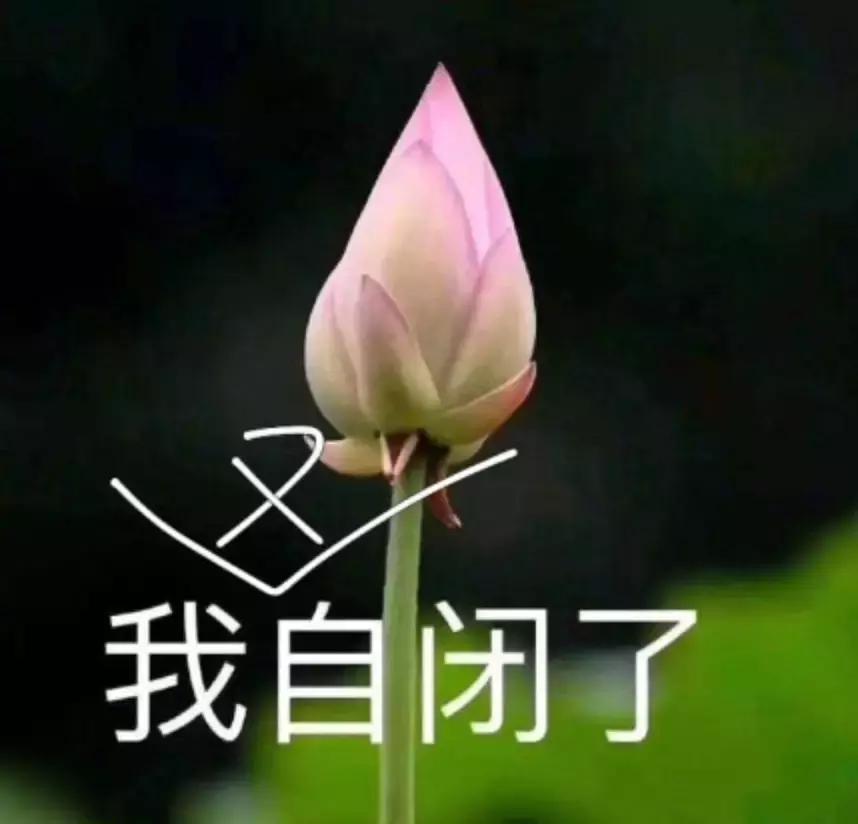 千万别看4D电影!你们会后悔的!哈哈哈哈哈哈哈哈哈哈哈哈