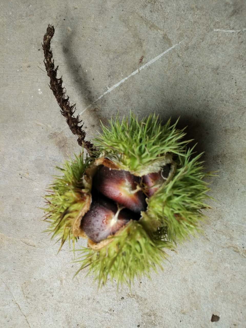 合伙创业说好的股权变成分红,说好的投资不想合伙投资了怎么办