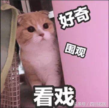 恍恍惚惚,玻尿酸牌子那么多,我该咋个选?值得收藏的实用干货!