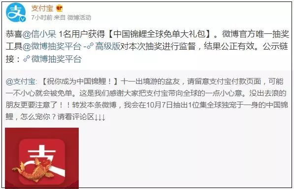 最近网络上的锦鲤是个什么梗,转发锦鲤的套路有哪些