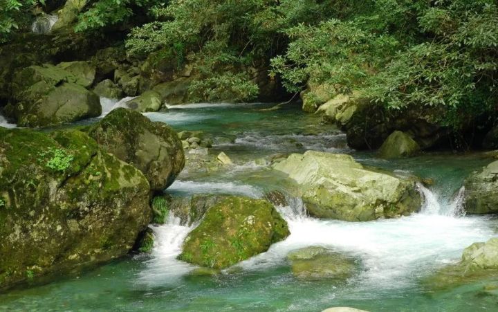 日本百年匠心产品,日本百年酒