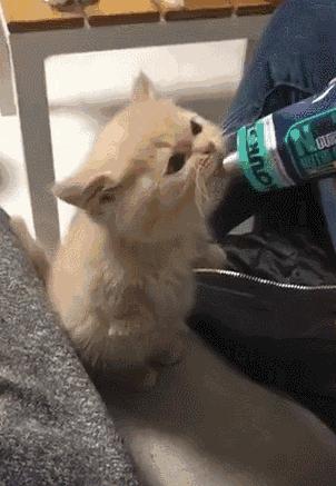 “如果被萌坏了，我帮你叫110救护车！”