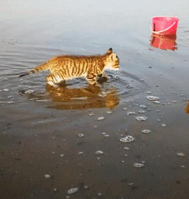 “如果被萌坏了，我帮你叫110救护车！”
