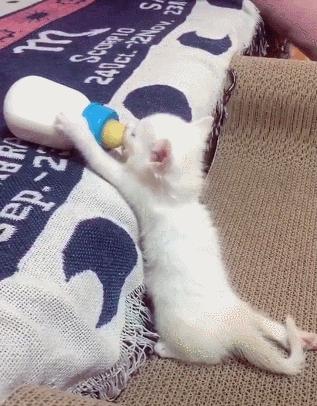 “如果被萌坏了，我帮你叫110救护车！”