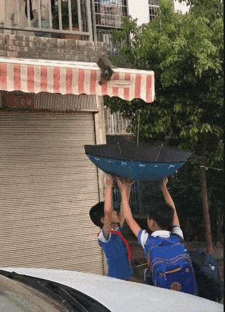 “如果被萌坏了，我帮你叫110救护车！”