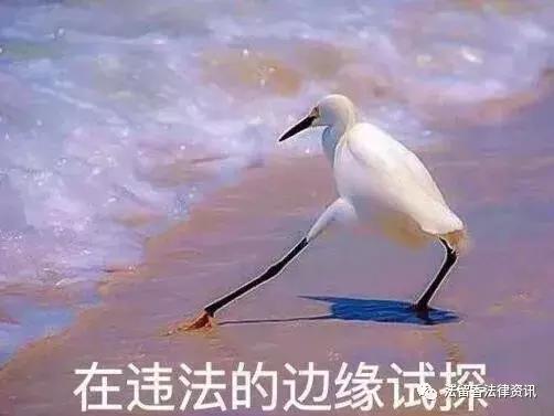 职业打假6人被批捕原因,职业打假人6人被批捕