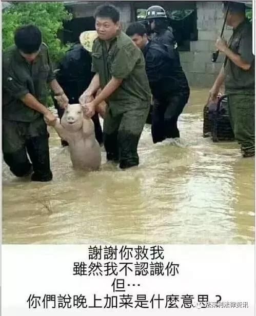 职业打假6人被批捕原因,职业打假人6人被批捕