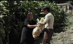 让我帮你把眼泪擦干吧,帮你把眼泪擦干