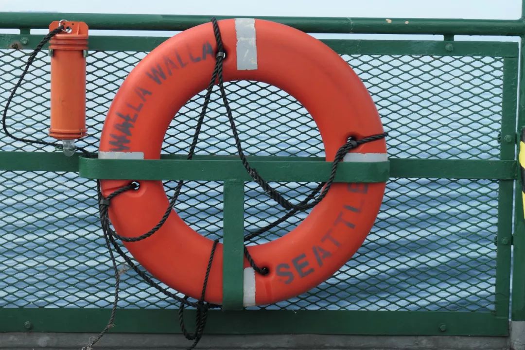 松下100-300mm镜头测评,松下zs110与松下zs70画质哪个好