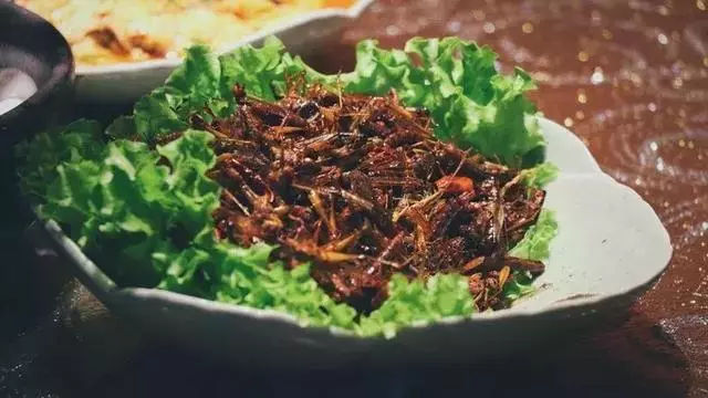 有意思旅游｜酸汤辣子蘸出来的美味，屡屡被各大综艺点名