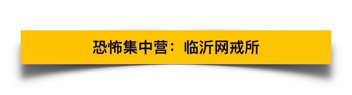 电击,针刺,鞭抽,虐童的临沂网戒所,传出一声声孩子惨叫