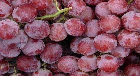 红提被称为“葡萄之王”,但医生再三叮嘱:2类人一口都不能多碰
