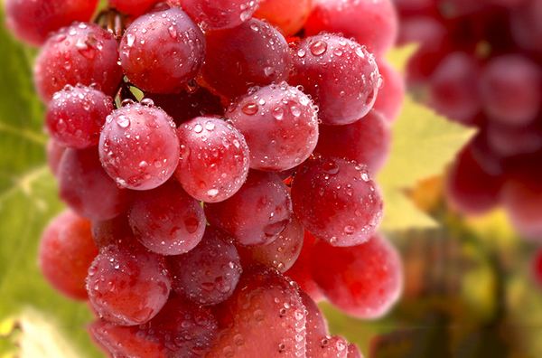 红提被称为“葡萄之王”,但医生再三叮嘱:2类人一口都不能多碰