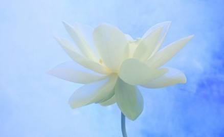 大姐什么事都管吗,大姐什么事都不说