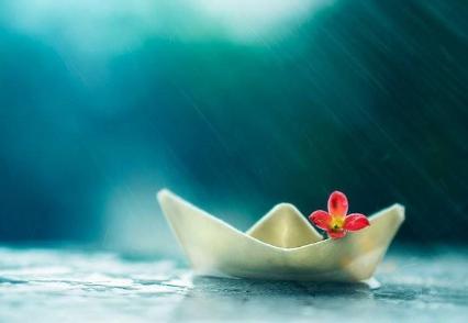 大姐什么事都管吗,大姐什么事都不说