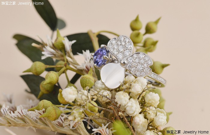 蒂芙尼珠宝系列有哪些,蒂芙尼高级珠宝丛林系列