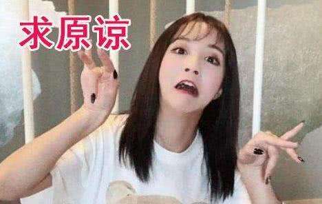 网红“莉哥”的结局分析，顺便聊聊网红最怕什么？