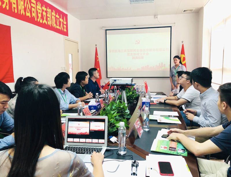 践行党的宗旨新举措,三农金服党支部成立