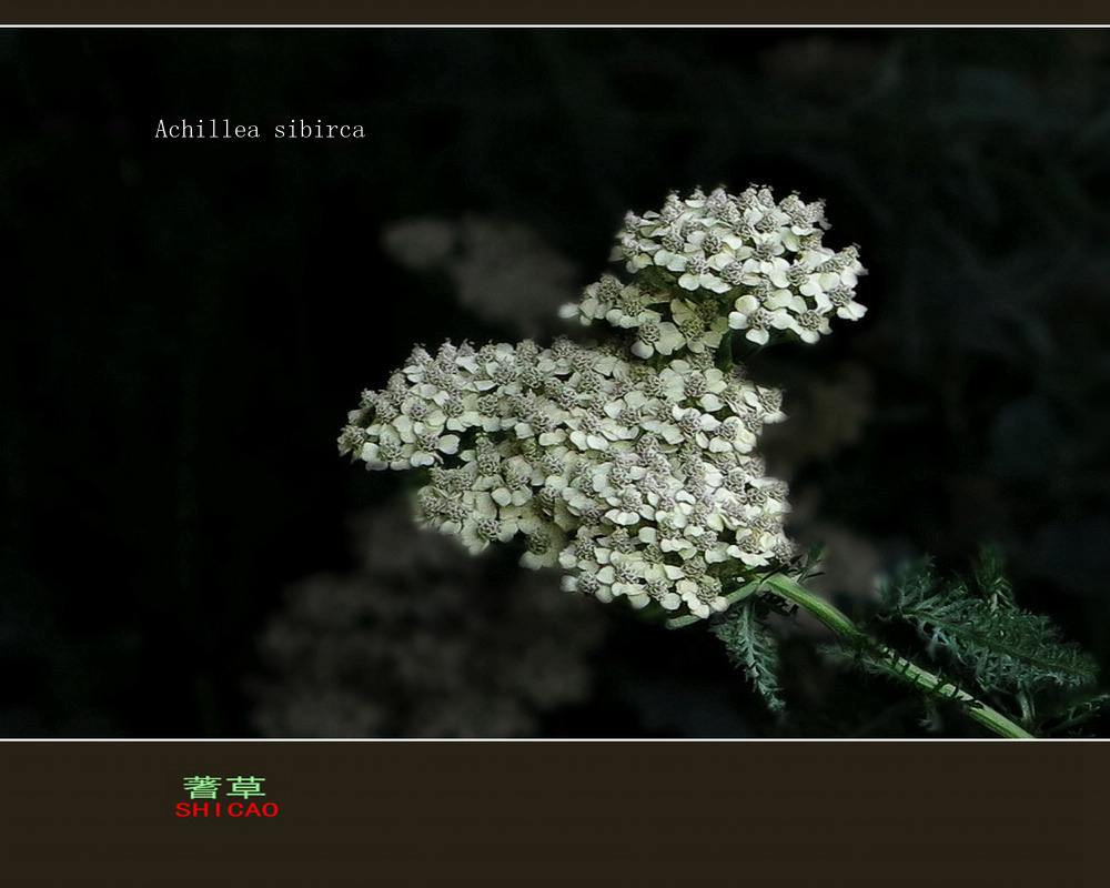 周易算卦需要什么信息,周易算卦是怎么算的