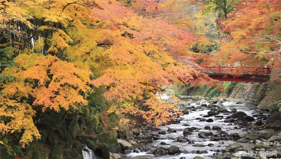 日本十大温泉胜地推荐,日本十大秘境温泉