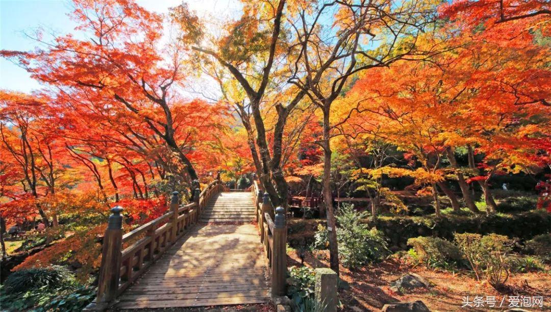 日本十大温泉胜地推荐,日本十大秘境温泉