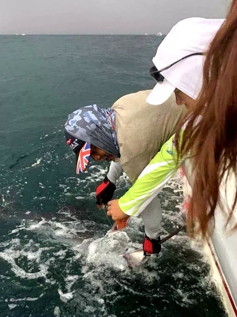 “四大美女”征战马来西亚旗鱼日记