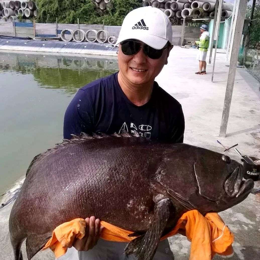 “四大美女”征战马来西亚旗鱼日记