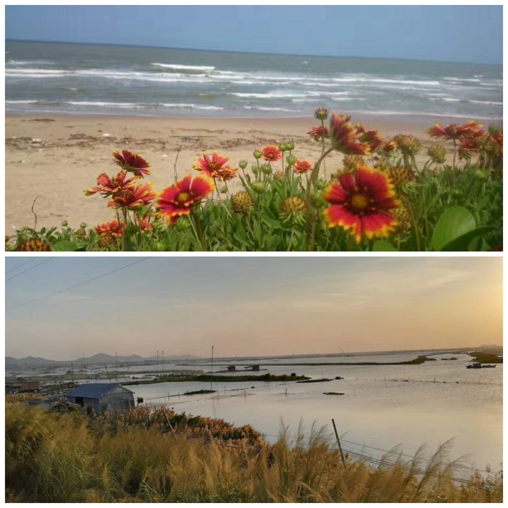 97年的雅马哈劲虎150怎么样,劲虎雅马哈150不点火原因