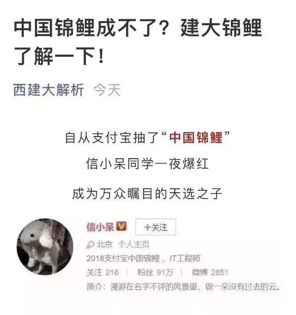 锦鲤活动为什么不能参加,锦鲤活动特权