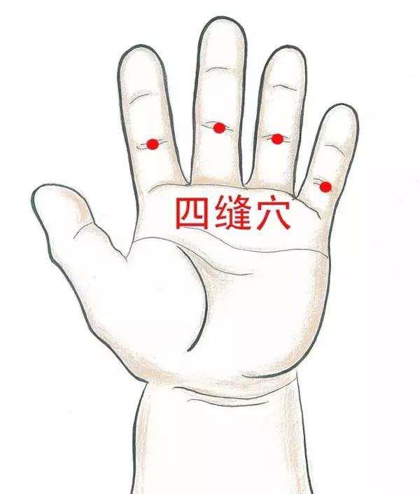 秋季养生的十六个秘籍,秋季中医养生保健的方法