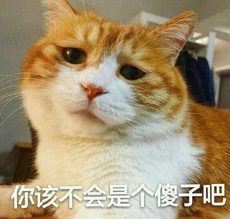 码农适合做男朋友吗,和码农的正确相处方式