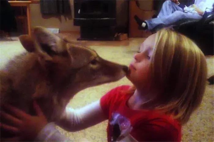 女孩收到父亲赠送的小奶狗，朝夕相处一年多，最后发现是野狼！