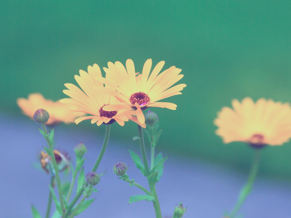 天一教育专接本有什么优惠政策,天一专升本和天一教育一样吗