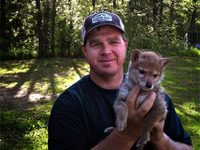 女孩收到父亲赠送的小奶狗，朝夕相处一年多，最后发现是野狼！