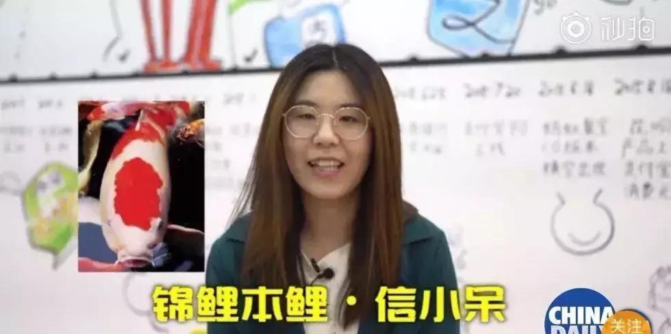 如何参与中国锦鲤,曾经的中国锦鲤