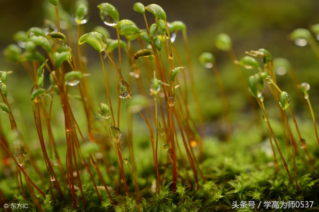 2018四年级期中试卷人教版上册,人教四年级上册期中测试卷及答案