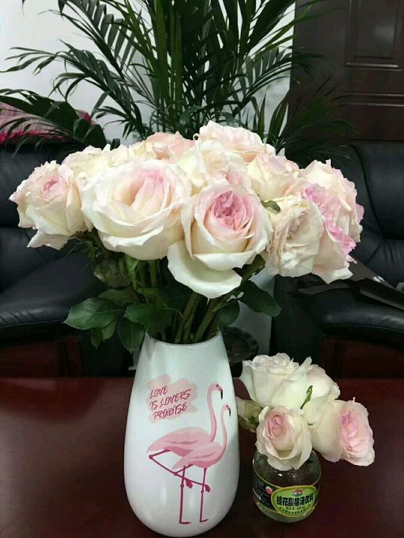 插花艺术的认识和方法,艺术插花的13个基本技巧