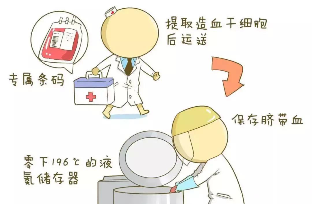 这些“爆款”全都是代购炒出来的，国外根本没人用……