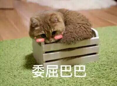 淘宝双十一全球购怎么买,淘宝双十一买一免一套路