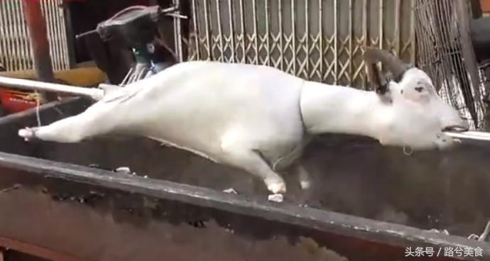 越南街头烤全羊,越南美食重口味烤全羊