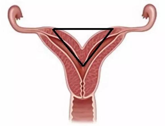 怀不了孩子的问题,怀不上孩子都是女人的问题吗