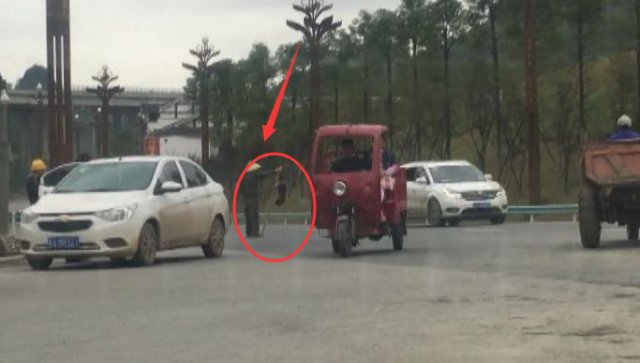 男子路边叫卖这种动物，还说味道鲜美，结果记者调查发现……