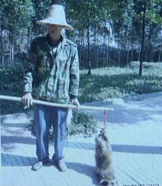 男子路边叫卖这种动物，还说味道鲜美，结果记者调查发现……