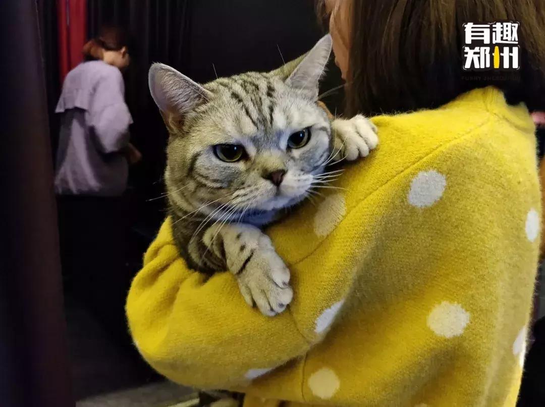 货比三家哪里最靠谱,货比三家选哪家更实在