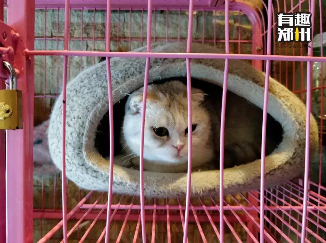 货比三家哪里最靠谱,货比三家选哪家更实在